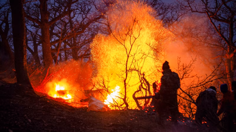 Iran Asks For Help As UNESCO-Listed Forests Burn