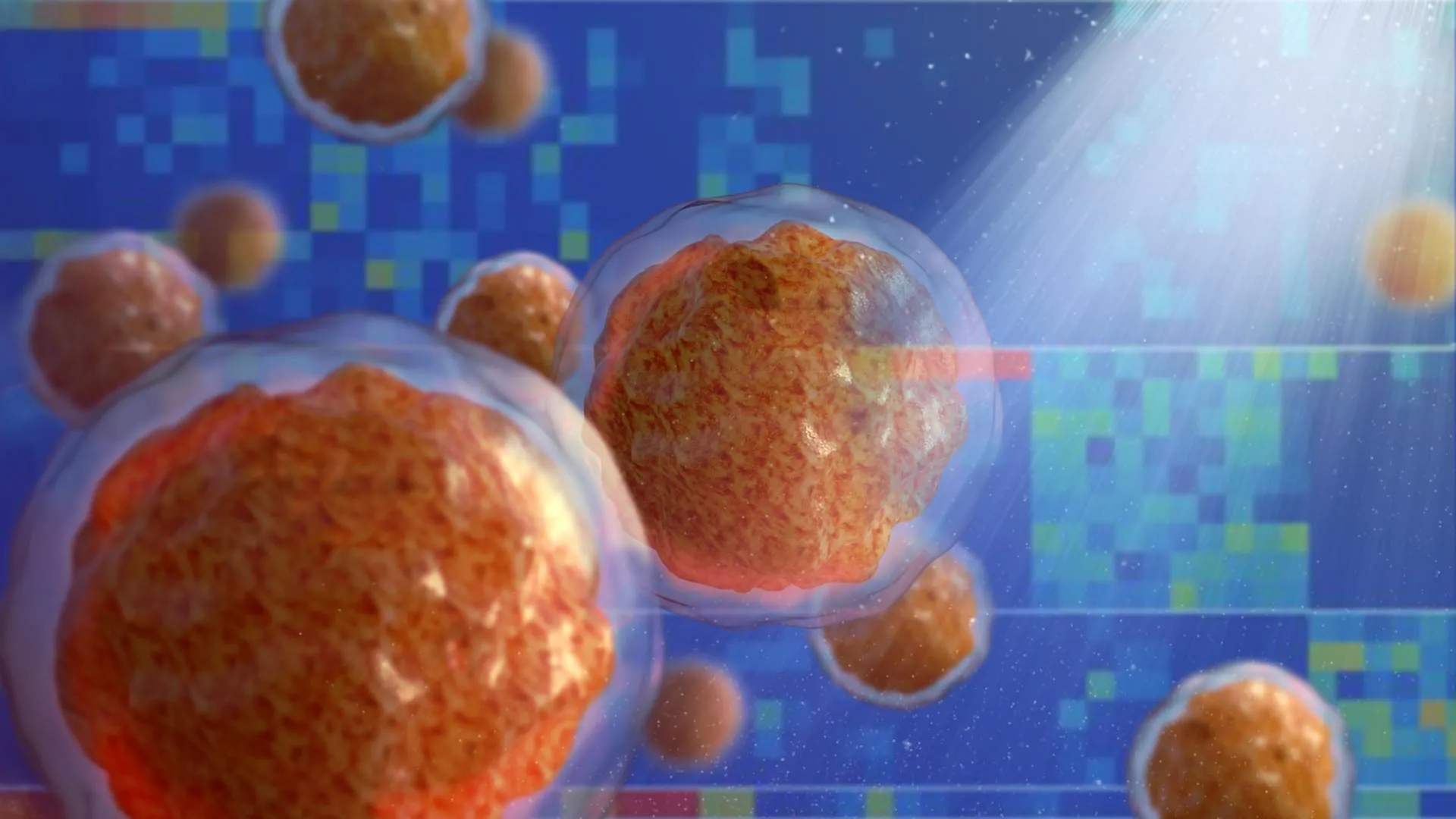 Inflammation turns bone marrow into a breeding ground for disease