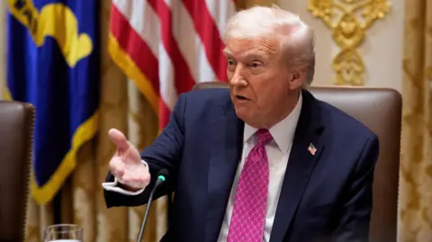EPA A white-haired man in blue jacket, white shirt and pink tie speaks and gestures  in an ornate office.