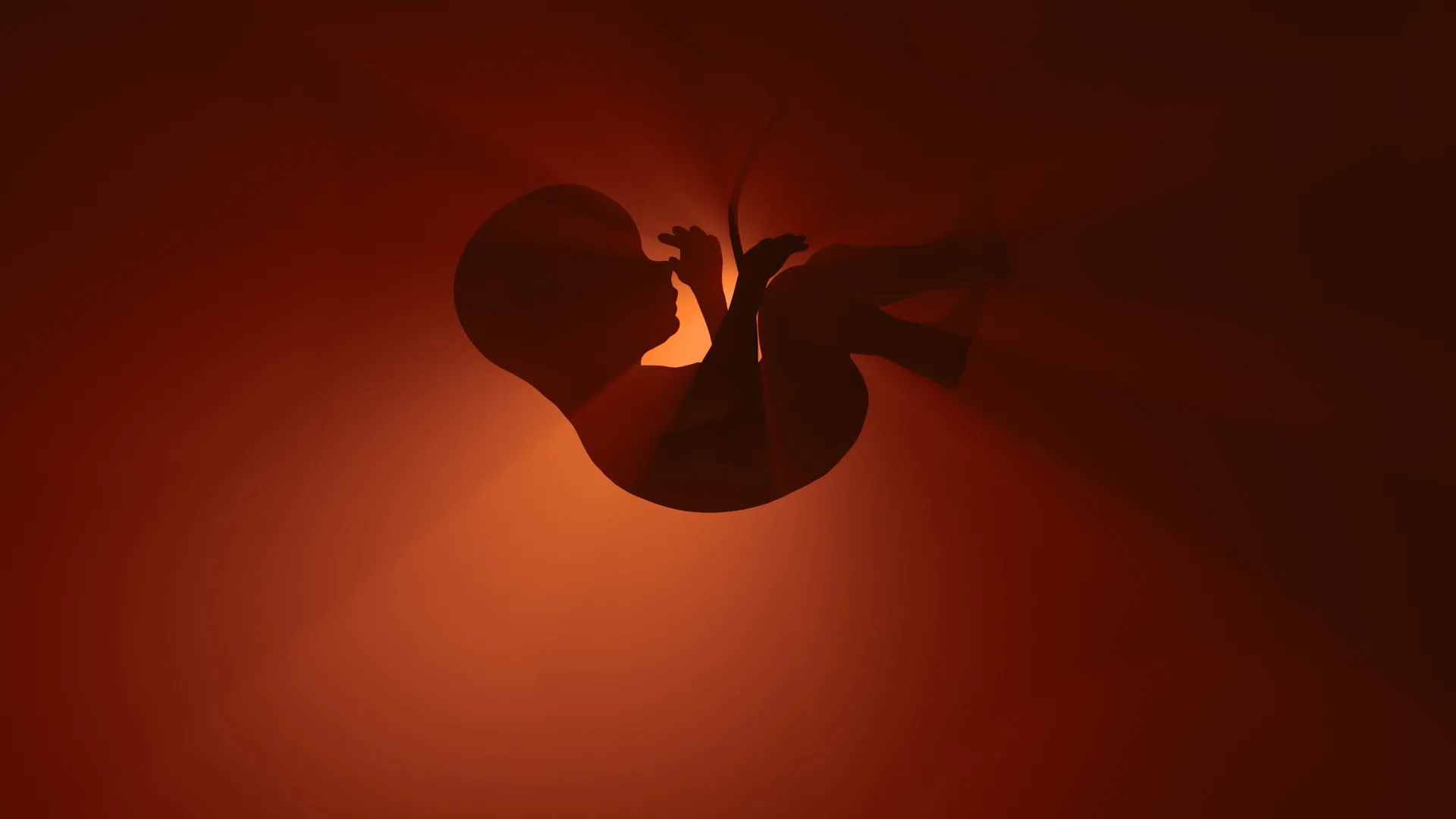 A popular “essential” medicine may be putting unborn babies at risk