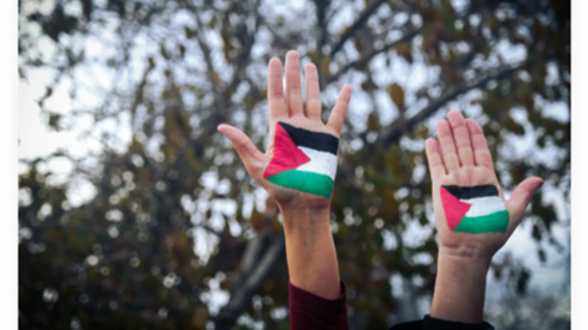 Israel linked to shady company behind Gaza ‘displacement’ flights | Human Trafficking