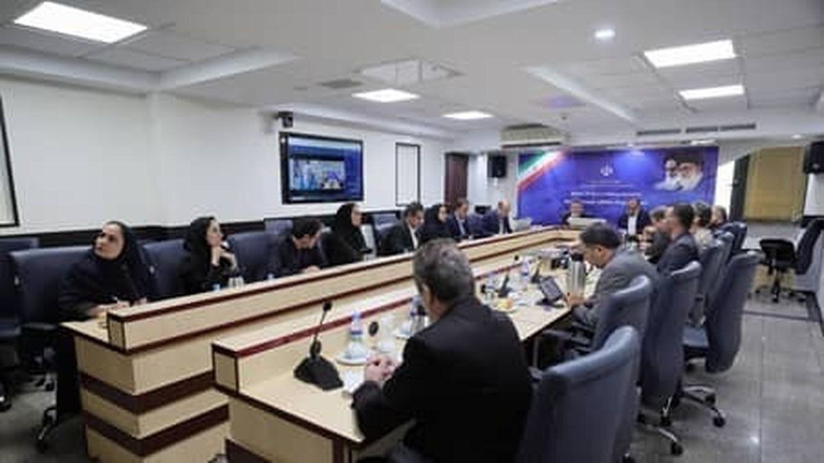 Iran explores potential to develop health ties with Africa