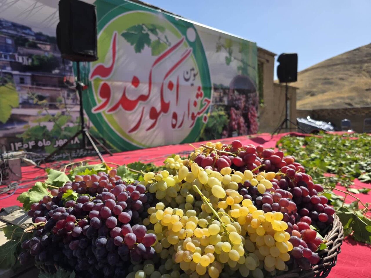 Kandoleh Grape Festival registered in list of tourism events