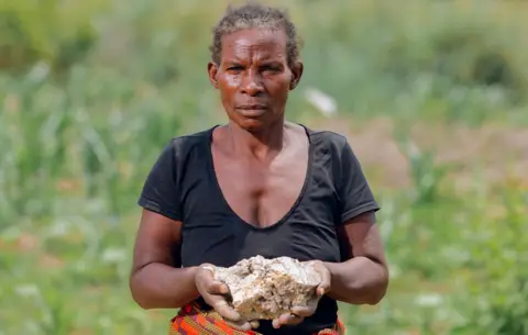 Ali Ngwane / BBC A photo portrait of Mary, a Zambian farmer. She stands in the centre of the frame looking pensive and holding up a large lump of white contaminated crop soil, with both hands. There is greenery behind her and she wear a black top and patterned skirt. 