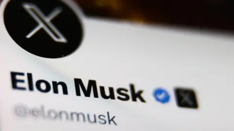 Getty Images A screenshot of Elon Musk's X profile is zoomed in on his account name and handle, with a X blue check mark beside it.