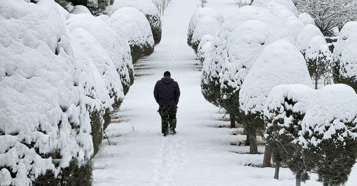 Iran after the crackdown: serenity on screens, grief on the streets
