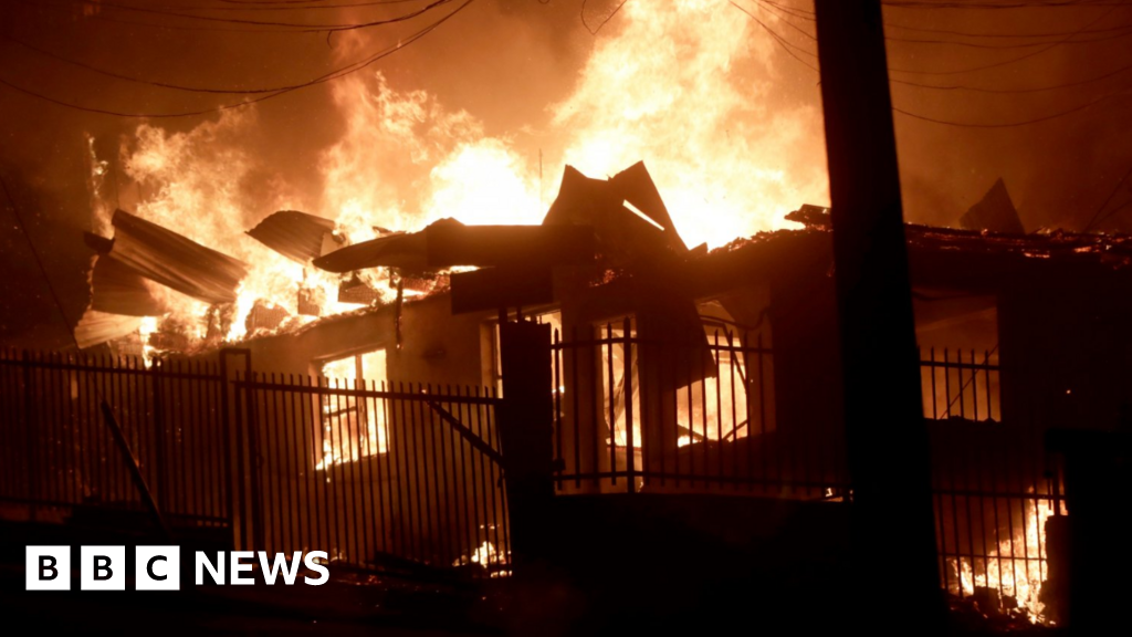 Deadly Chile fires trigger state of catastrophe in Ñuble and Biobío regions