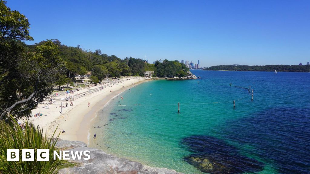 Two seriously injured as Sydney sees string of shark attacks