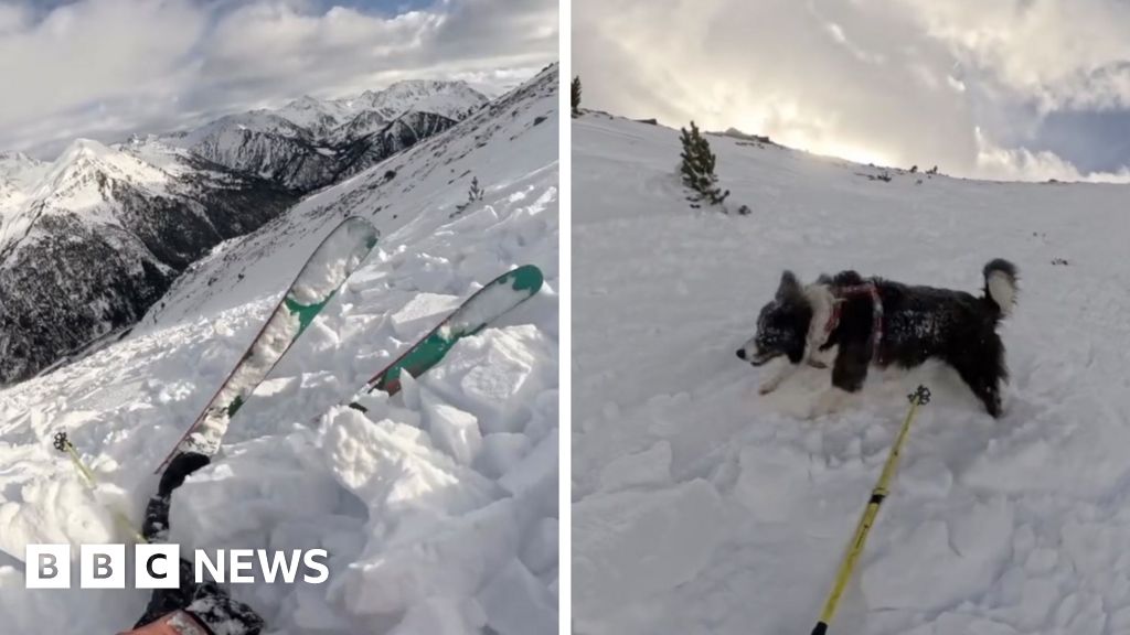 Moment skier and dog swept along by avalanche