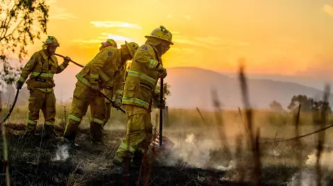 Reuters CFA firefighters conduct black-out operations at dusk as they mop up remaining hot spots following bushfire activity near Alexandra, Victoria, Australia, photo taken 9 January