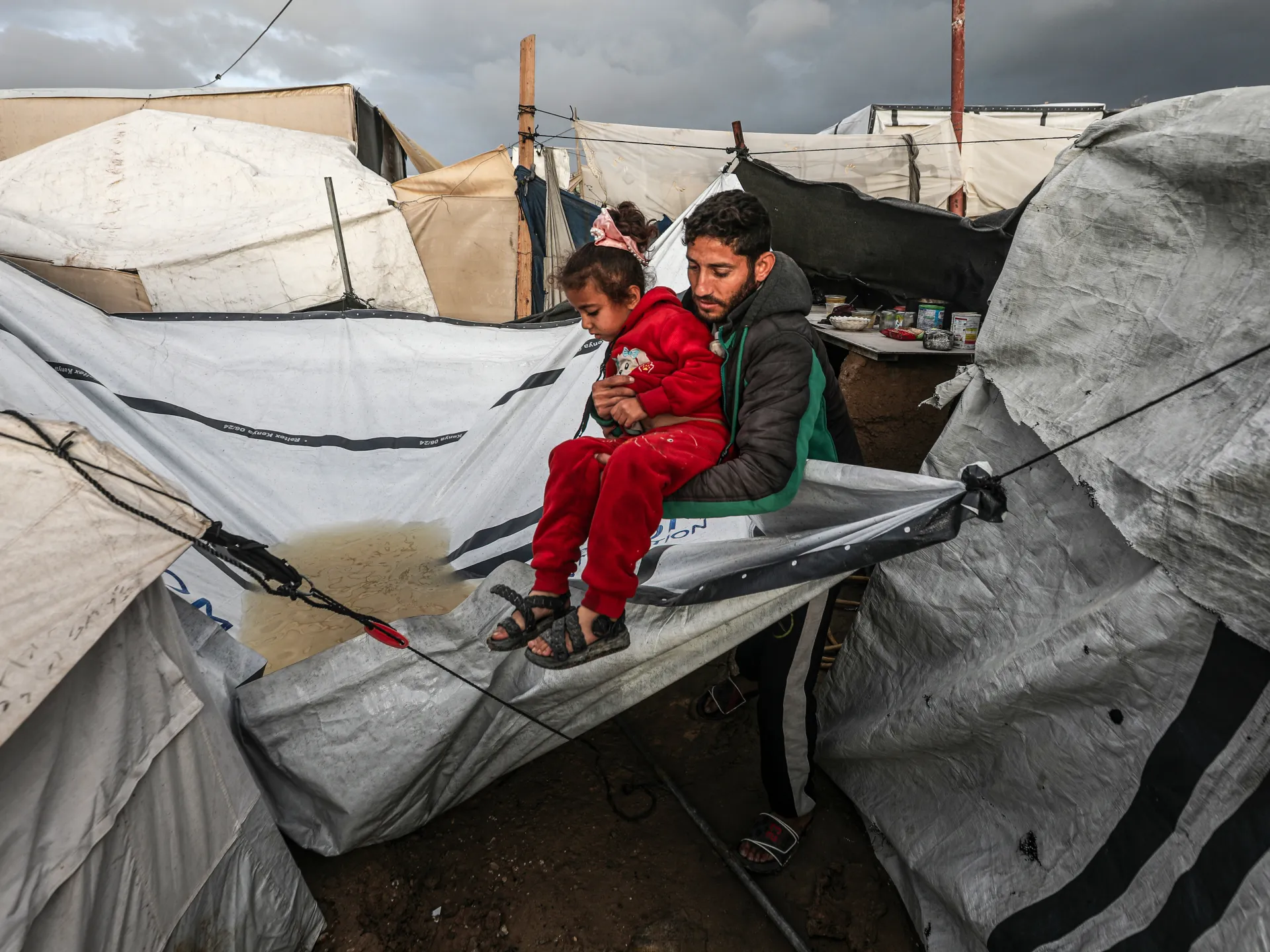 UN’s Albanese: Israel treats storm-hit Palestinians of Gaza as ‘expendable’ | News