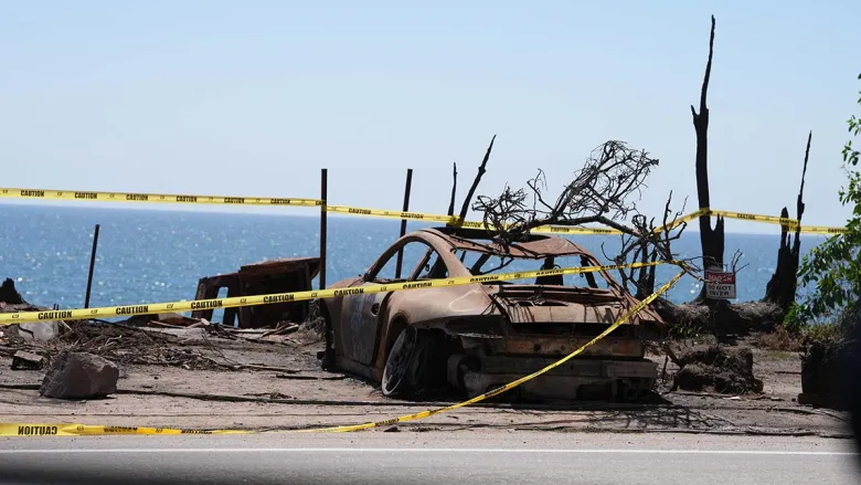 Remembering the tragic Palisades and Eaton fires in 11 numbers