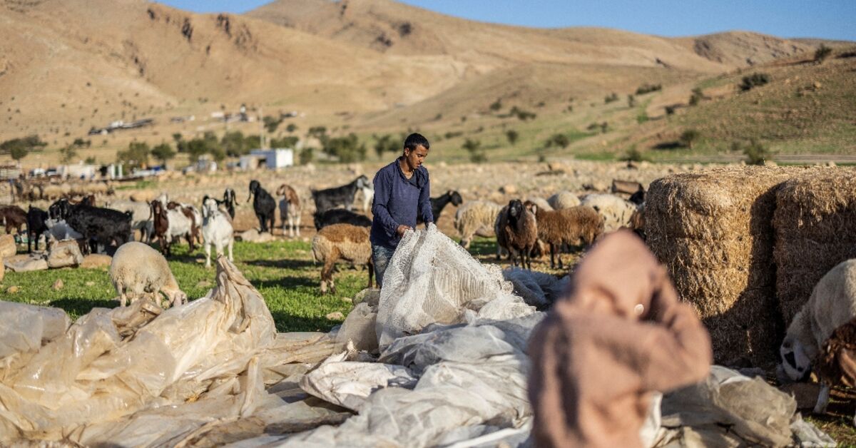 West Bank Bedouin community driven out by Israeli settler violence