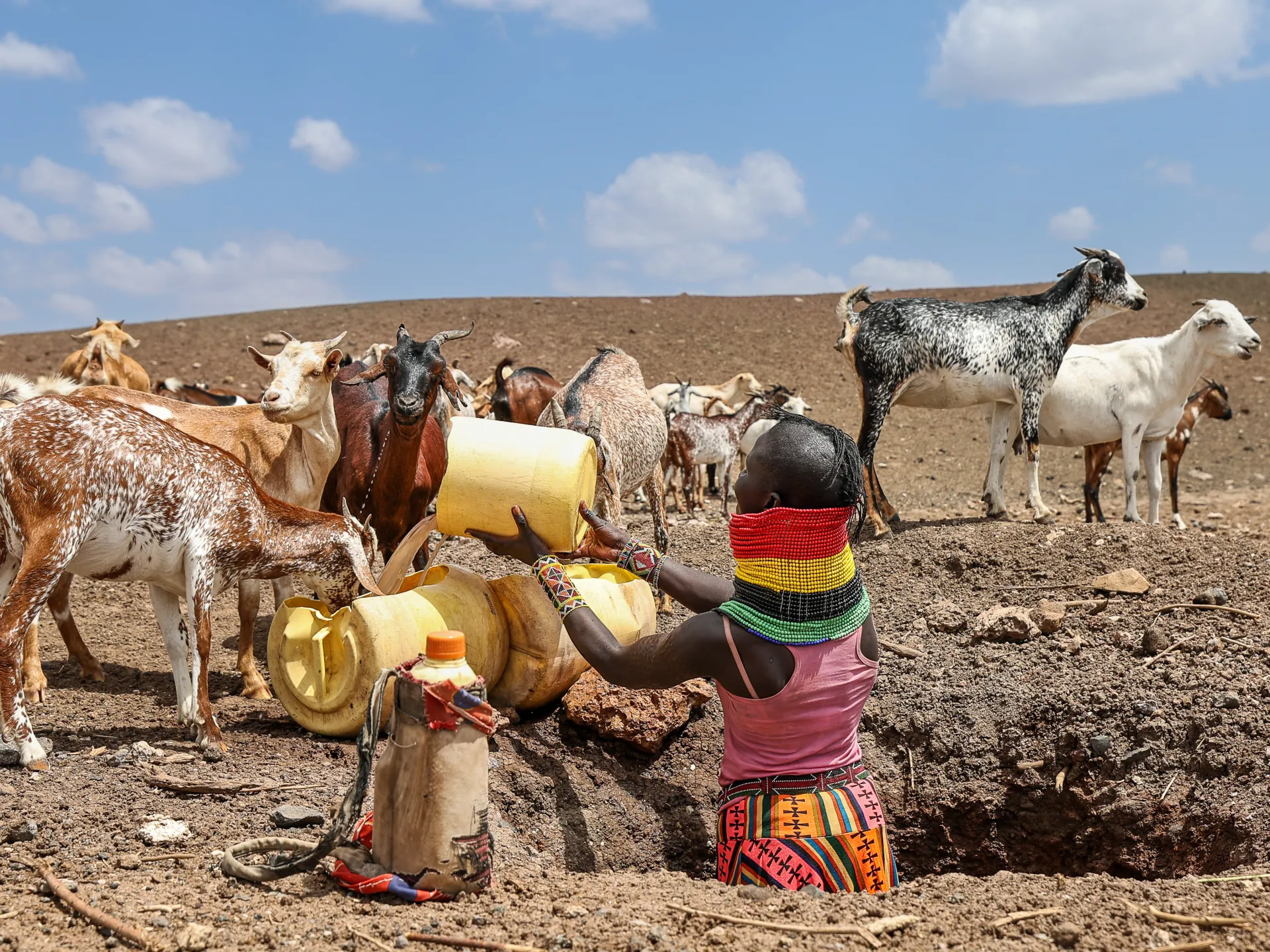 More than two million people face hunger as drought grips Kenya | Climate News