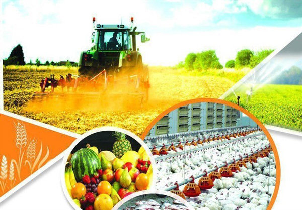 Nearly 3,300 agriculture projects to be inaugurated during Ten-Day Dawn