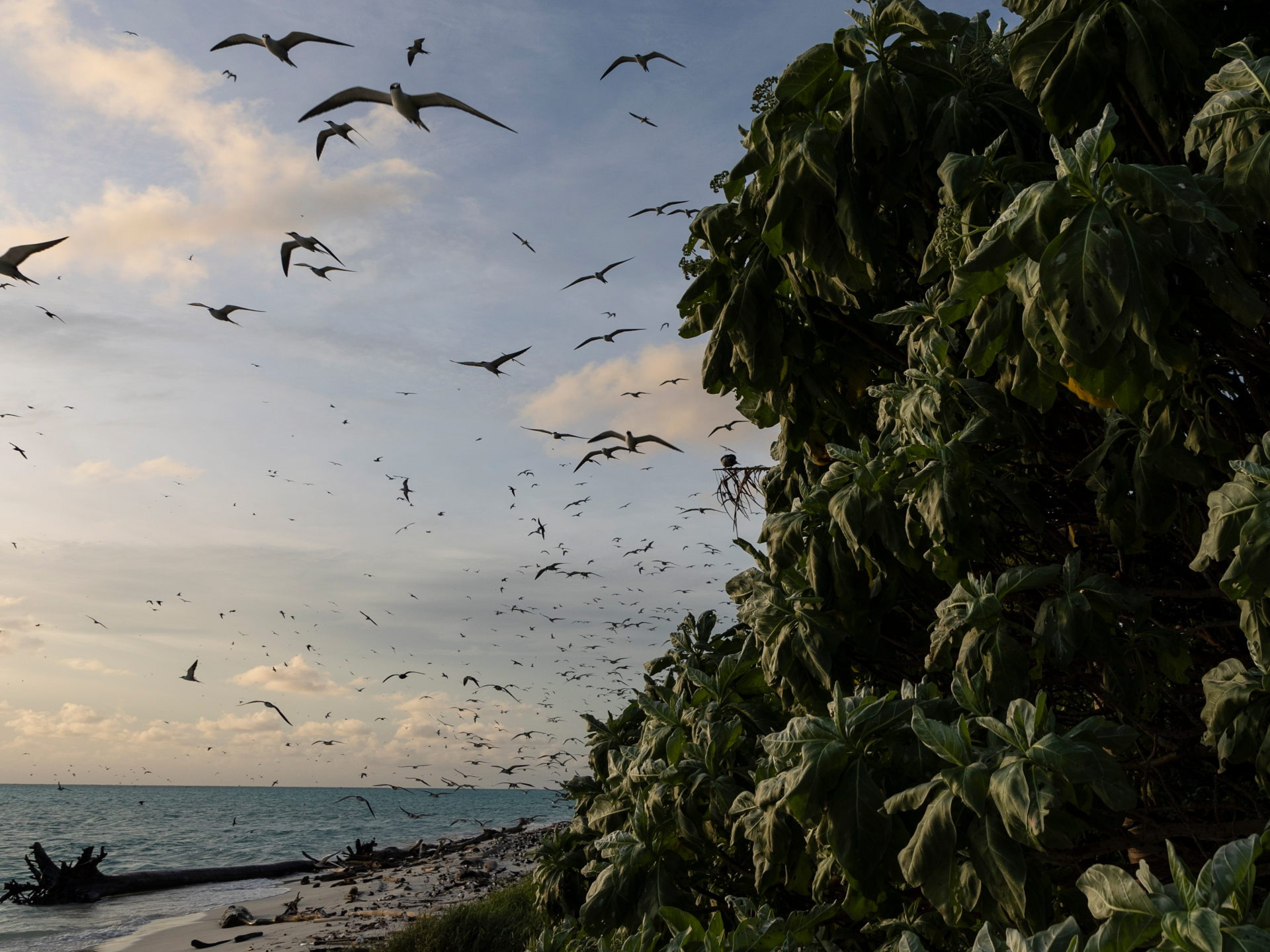 US sanctions officials from Marshall Islands and Palau, citing China fears | Government News