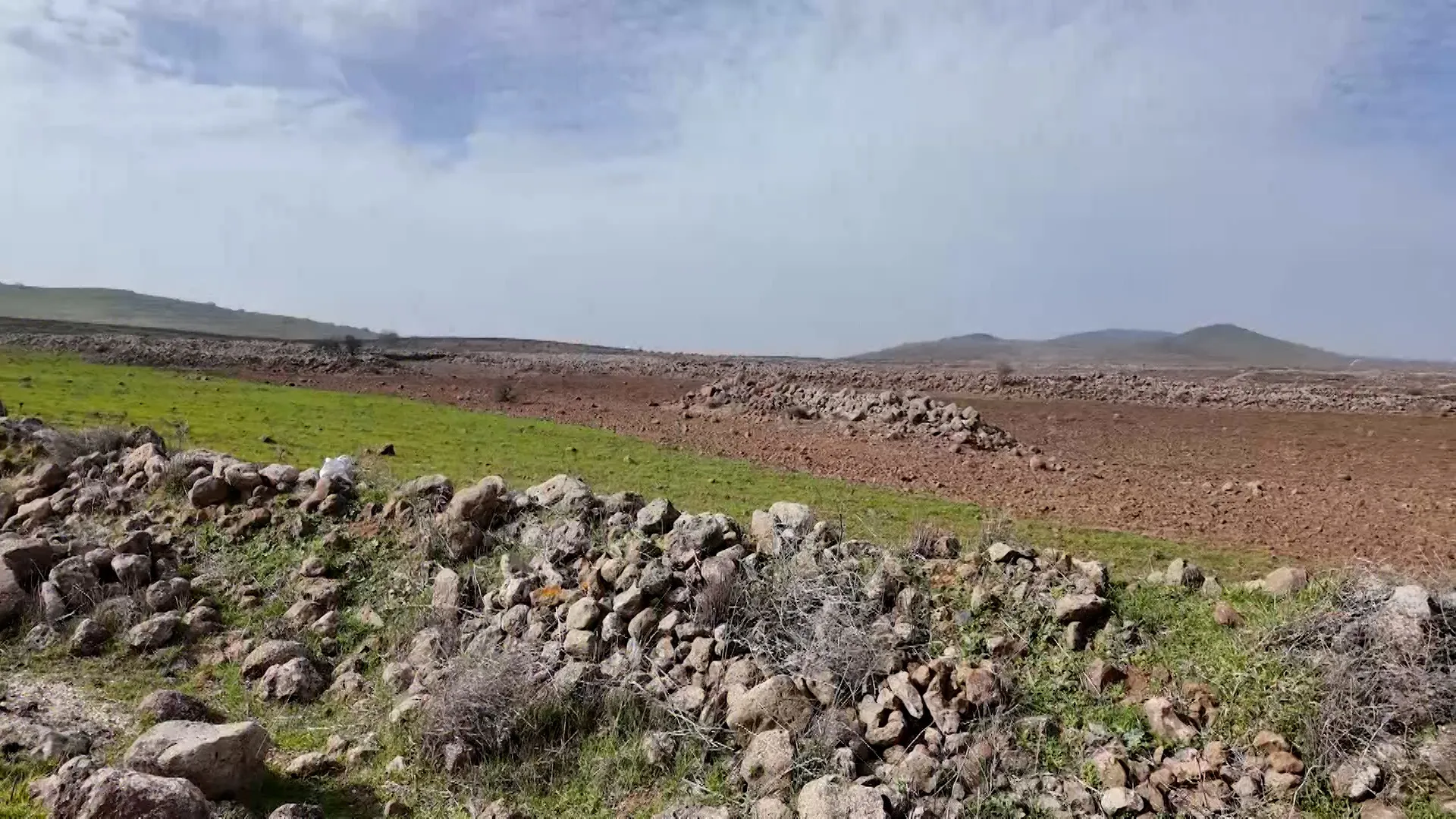 Israel accused of spraying chemicals to poison Syrian farmland | Newsfeed