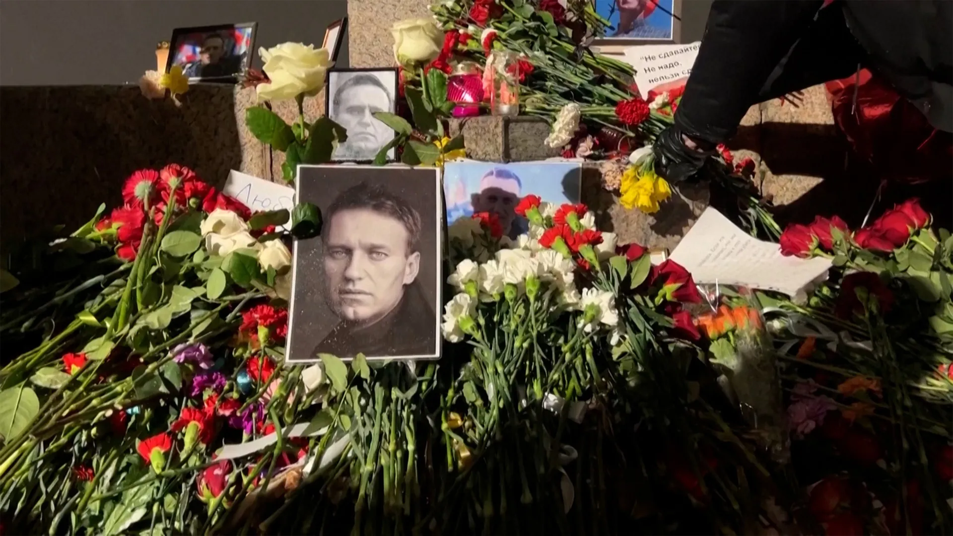 Europeans say Russia poisoned dissident Alexey Navalny with dart frog toxin | Vladimir Putin