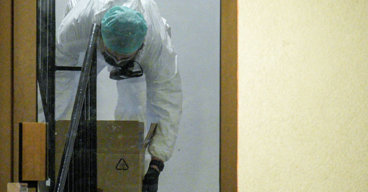 Mother and three sons in custody over US embassy bomb in Norway