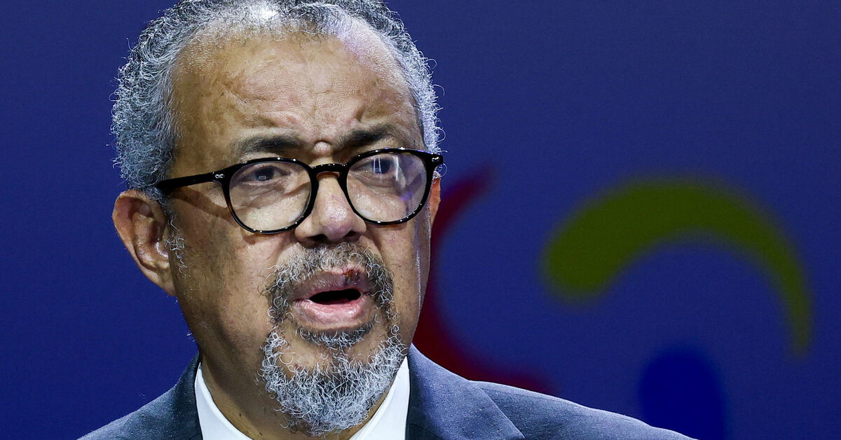 WHO chief Tedros says 12 dead in strike on primary healthcare center in Lebanon