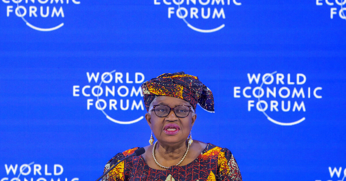 WTO chief: world order has irrevocably changed