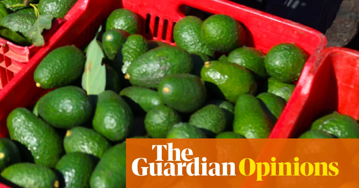 Energy shock talk grabs headlines but the Iran war is also driving the world towards a food crisis | Heather Stewart
