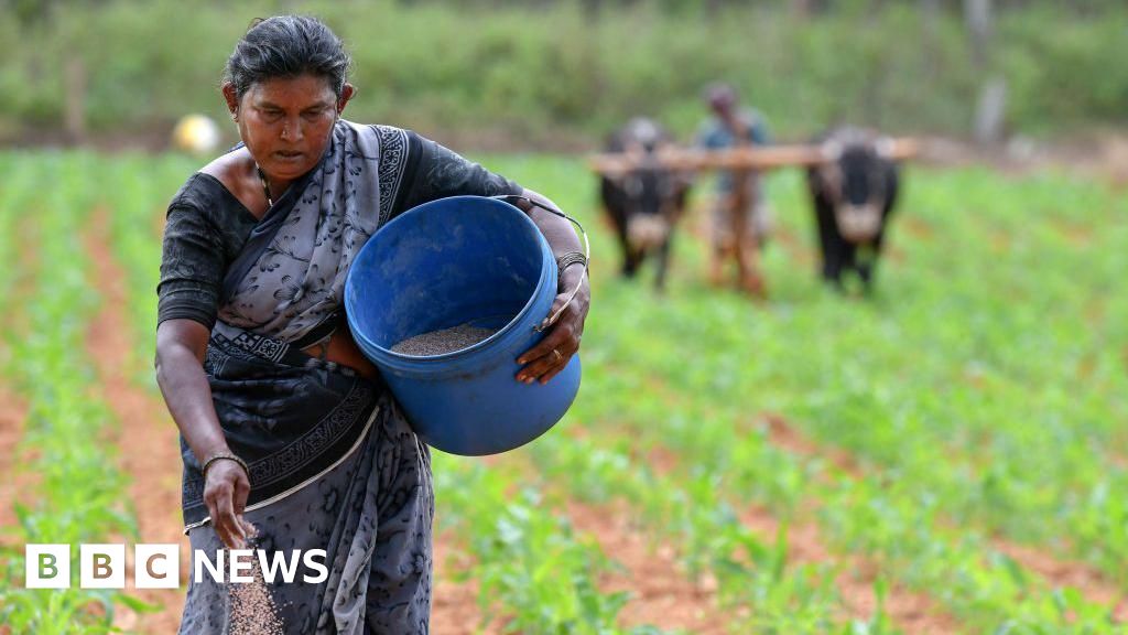 Iran war: India's fertiliser supply under strain after Hormuz blockade – BBC