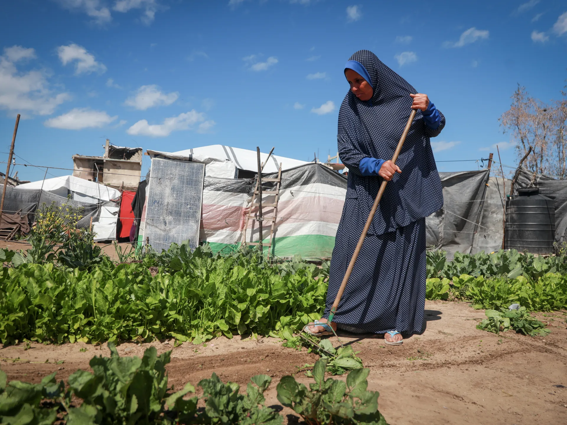 Land Day in Gaza: Between memory and the fight for what remains | Gaza
