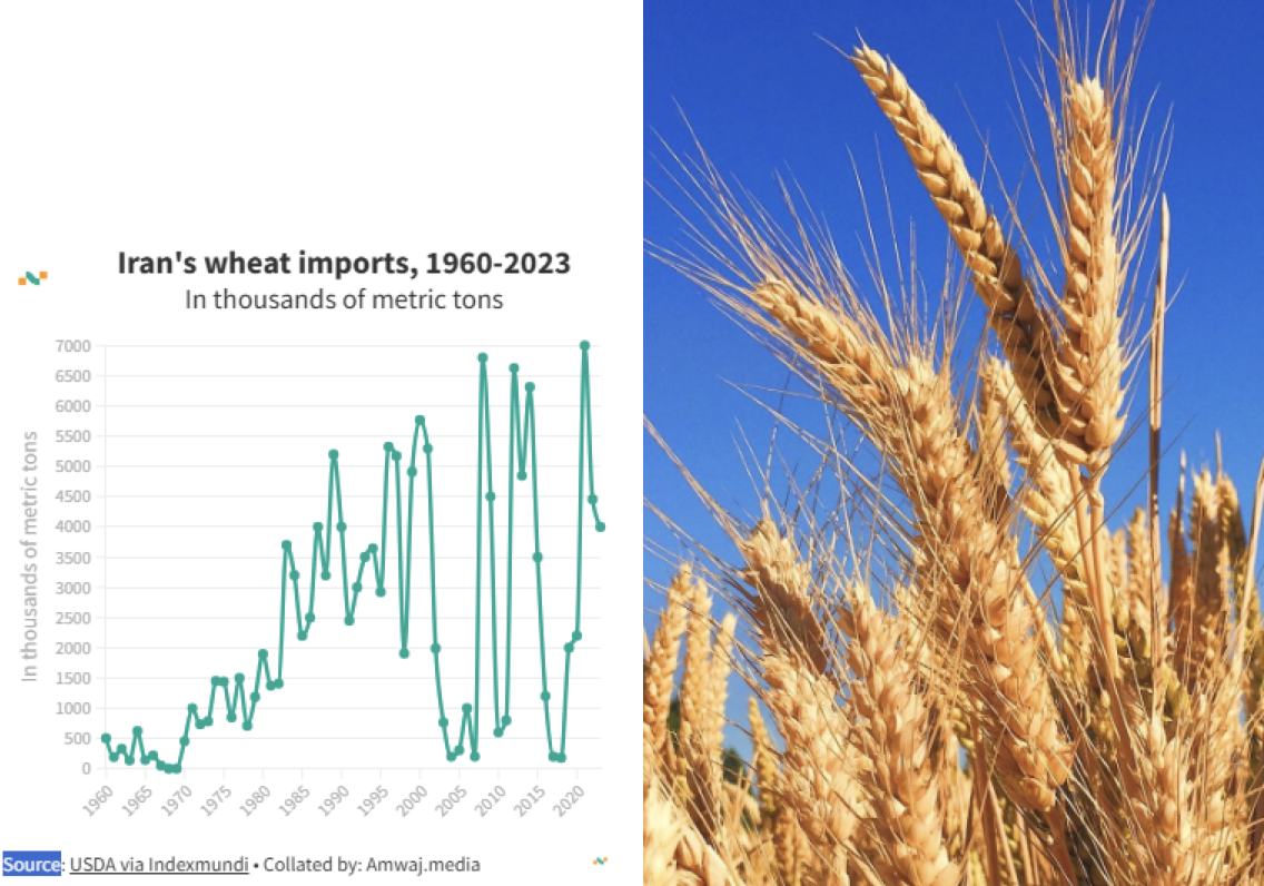 Iran Not To Be Self-Sufficient In Wheat This Year