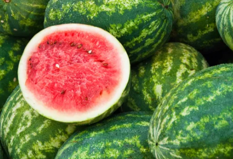 Russian Says Iran Watermelons Unsafe