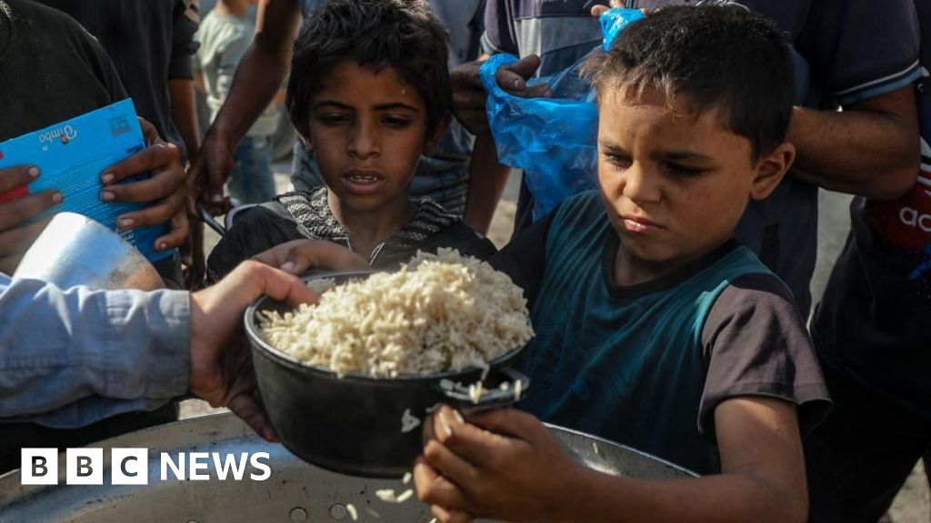 Aid groups in Gaza and West Bank thrown lifeline as Israel court pauses ban threat