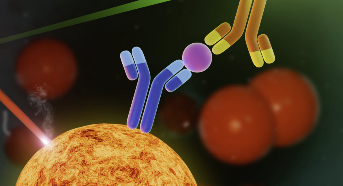 Understanding Tumor Biomarker Stability in Multicancer Research