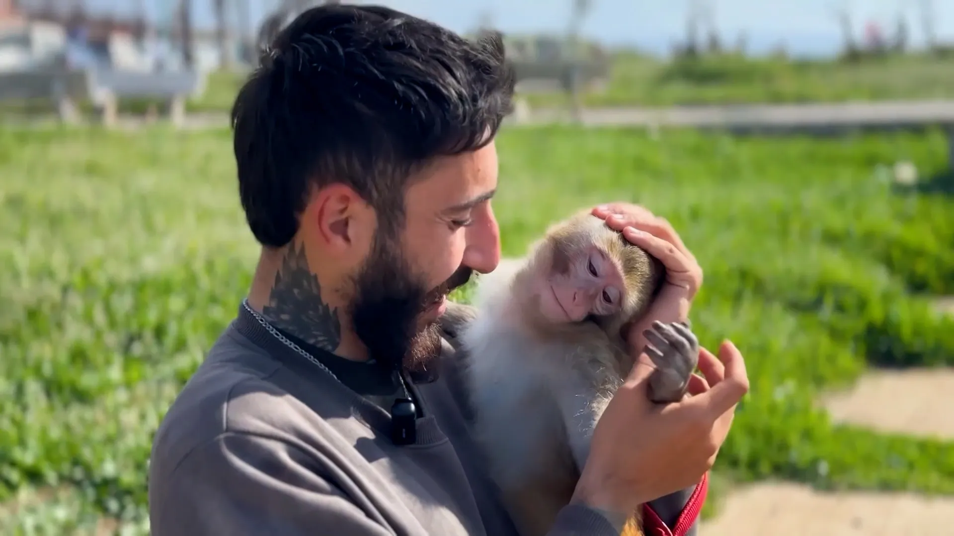 Lebanese resident stays behind with pet monkey despite evacuation orders | Newsfeed