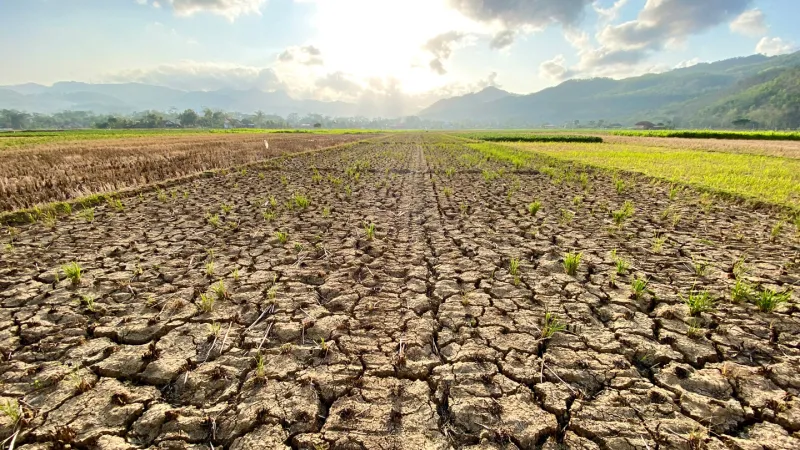 How climate change may increase antibiotic resistance