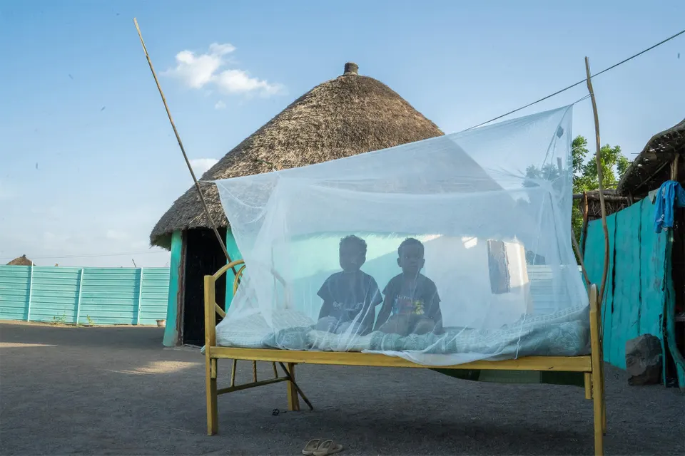 Where Bullets Fly, Malaria Kills