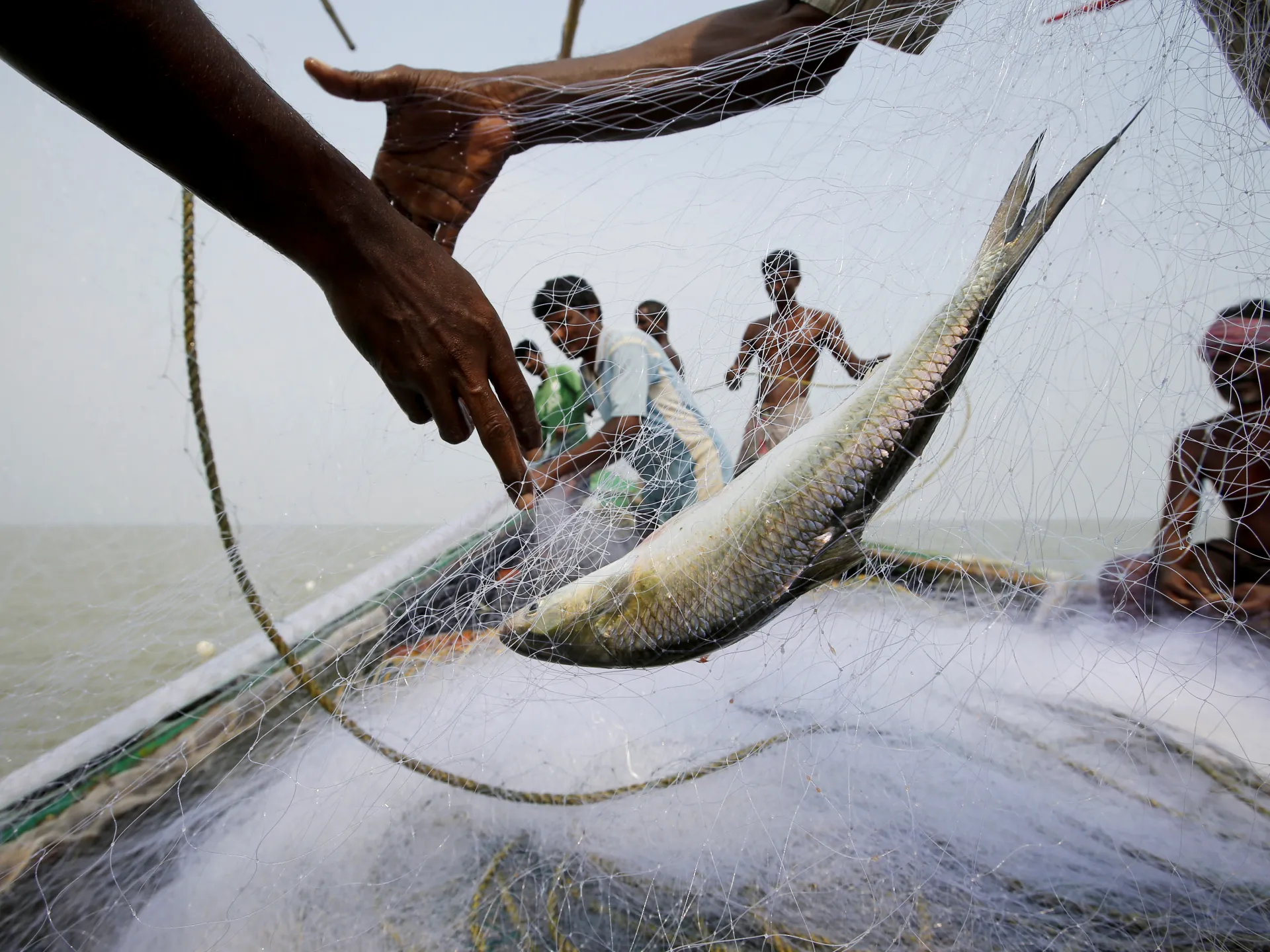 Can fish hook voters in India’s West Bengal elections? | Elections News