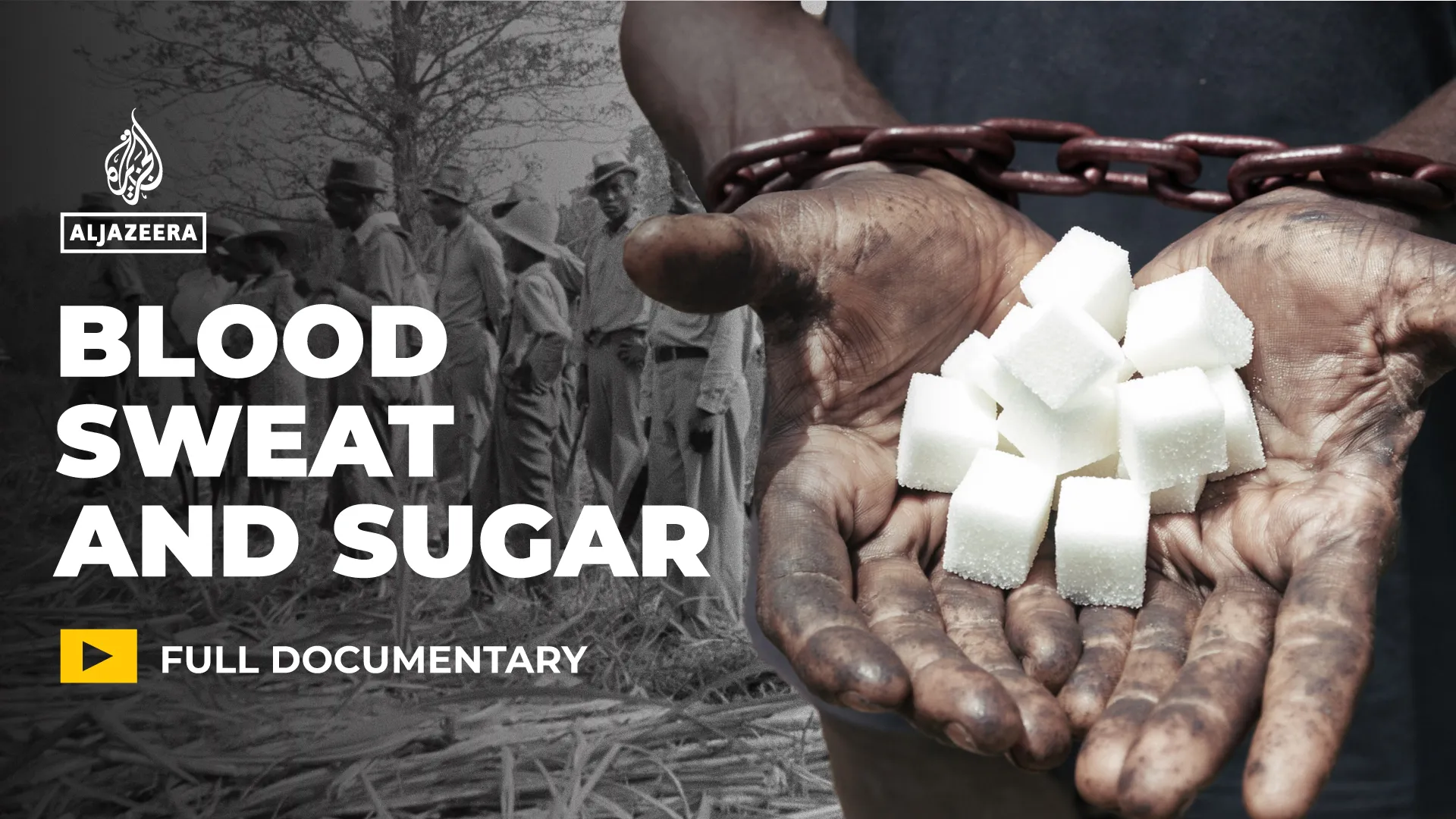 Blood, Sweat and Sugar | Slavery