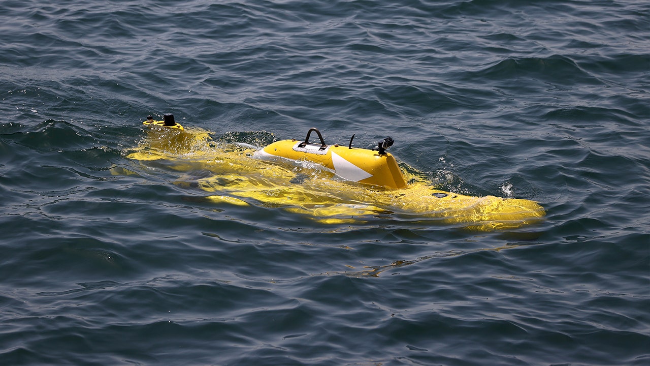 US Navy mine-clearing capacity at ‘nadir’ amid growing Iran threat