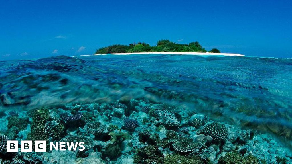 Five Italians die during cave scuba dive in Maldives