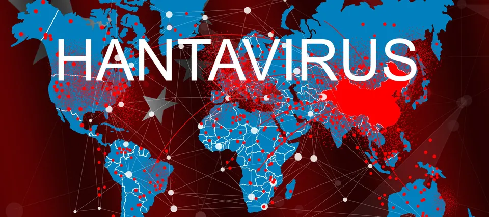 5 Urgent Questions After The WHO Emergency Hantavirus Meeting