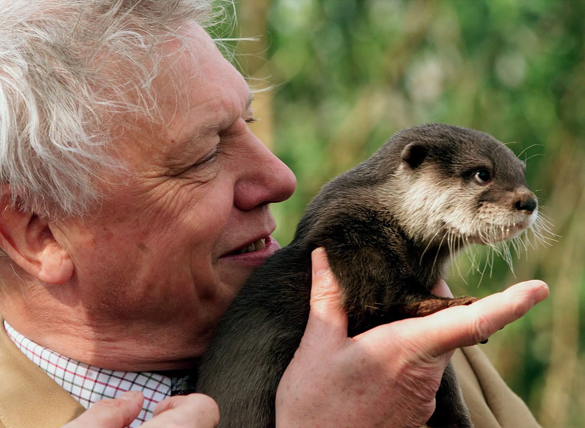 Celebrated naturalist David Attenborough marks 100th birthday | Environment