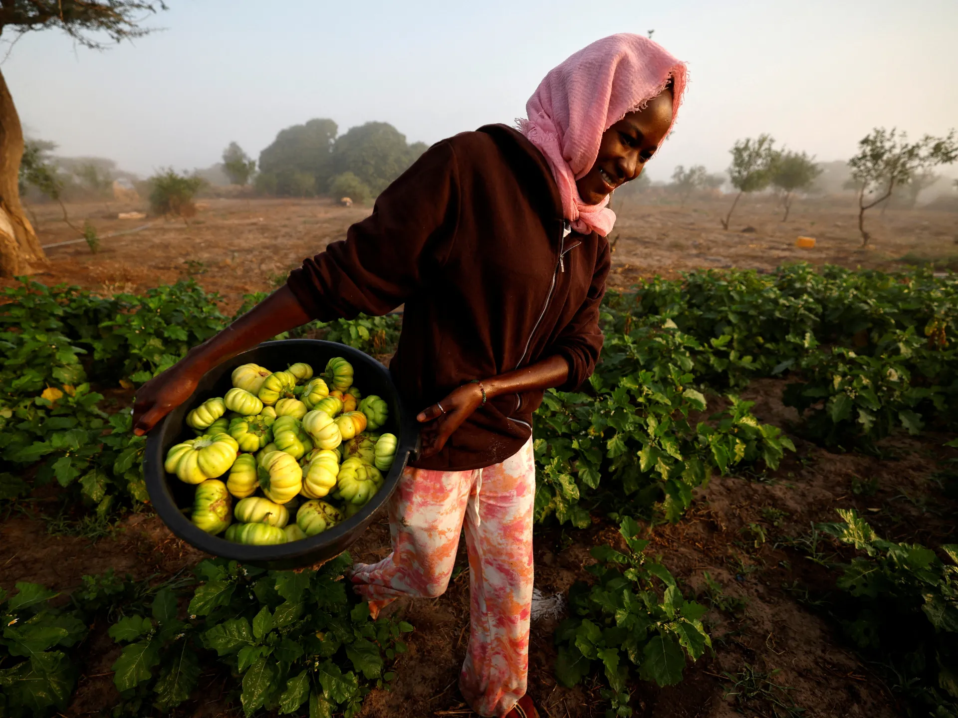 Amid the fertiliser crisis, Africa has a chemical-free option: Agroecology | Agriculture