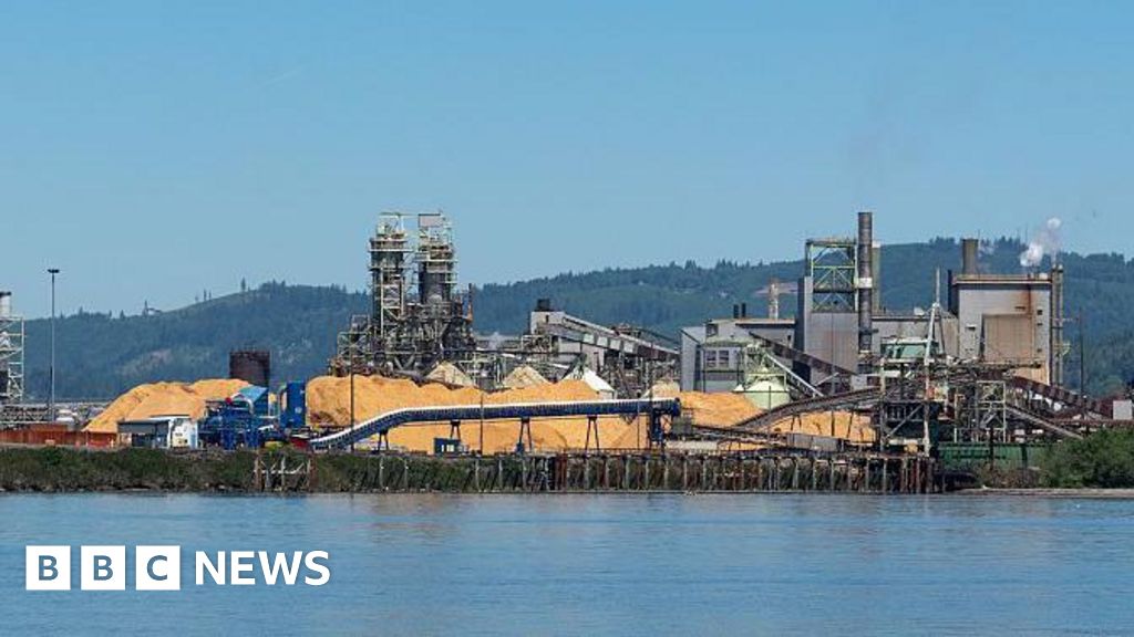 Multiple people killed and others missing after chemical explosion at US paper mill