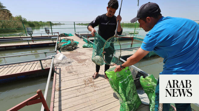 Iraq fish die-off leaves farmers mourning lost livelihoods