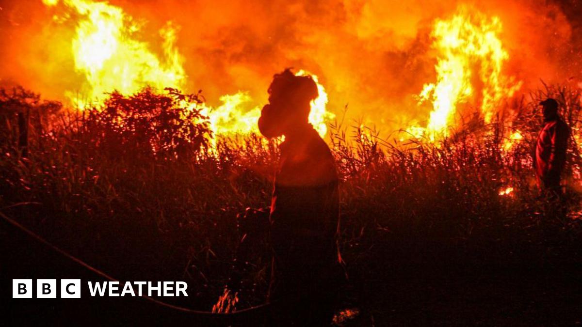 Record global temperatures possible as chance of a ‘super El Niño’ grows