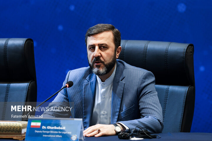 NPT review conf. failed due to Western ‘excessive demands’