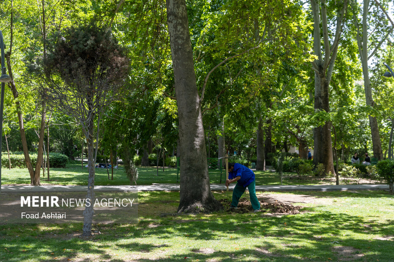 Mehr News Agency – Planting seedlings at Laleh Parkland in Tehran