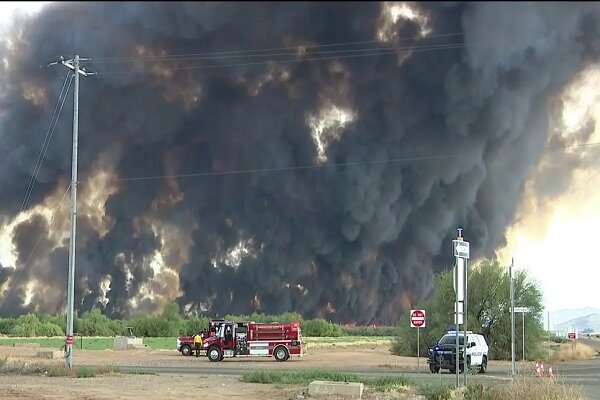 VIDEO: Wildfire in Arizona destroys over 400 ha of vegetation