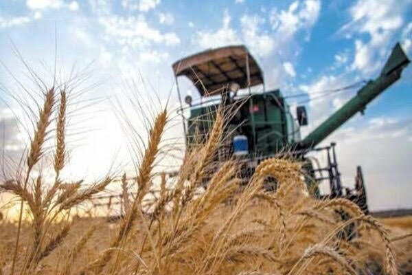 Agriculture ministry’s roadmap for price control; from supporting production to tackling overpricing