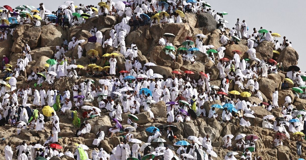 Pilgrims pray on Mount Arafat as hajj reaches peak